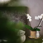 Vendégház Ebl Luxury 4*